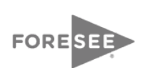 fore_see